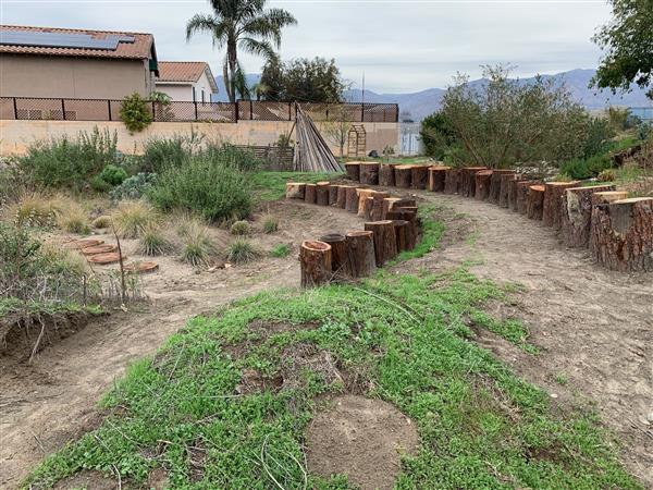 Eco Urban Garden